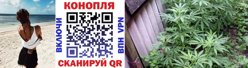 купить  сайты  Калининск  Бошки марихуана AK-47 